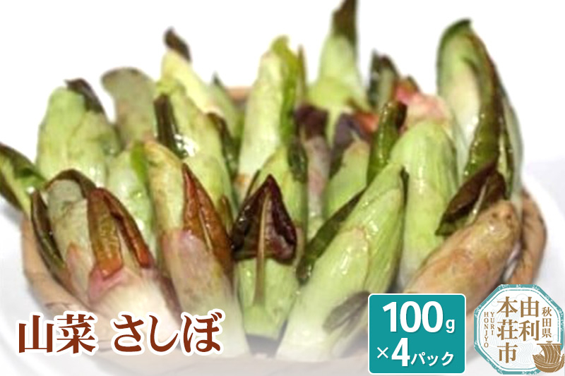 
            山菜 さしぼ 100g×4パック（発送は4月～5月頃）
          