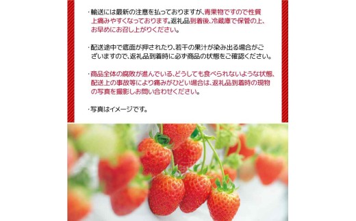 【先行予約】 虹の果 夏 いちご 1箱 400g ~ 300g (M~LLサイズ) 冷蔵 贈答用 イチゴ 苺 デザート フルーツ 夏イチゴ にじのか いちご大福 果物 期間限定 数量限定 特別栽培 特産品 ブランド 大きい 贅沢 贈り物 ブランドいちご 甘い おすすめ プレゼント ギフト ジューシー 高級 フルーツパーラー 夏いちご 甘い 酸味 絶妙 バランス 香り 滋賀県 日野町 ふるさと納税