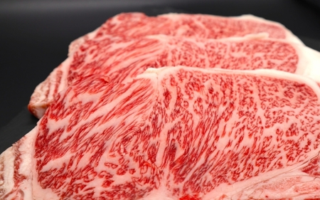 伊賀牛 【肉の横綱】 サーロインステーキ 150g×3枚 伊賀牛 【ymmt0006】