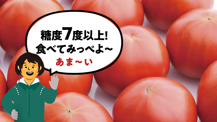 【12/31まで早期予約 特別寄附金額】訳あり 糖度7度以上！フルーツトマト 大箱 約2.6kg × 1箱 （20～35玉/1箱） 2025年3月から発送開始 トマト とまと 野菜[BC040sa]