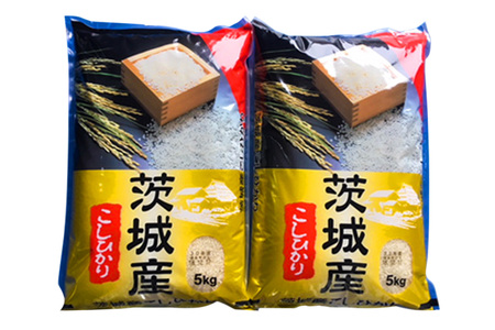 新米【令和7年産】お米の王様！茨城県産 コシヒカリ 白米 10kg (5kg×2袋)｜おこめ 精米 こしひかり 直送 稲敷 茨城 [1776]
