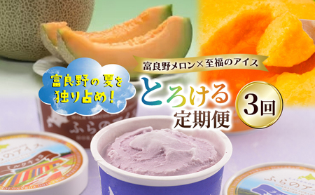 【定期便3回】富良野の夏を独り占め！富良野メロン×至福のアイス "とろける定期便" メロン 赤肉 大玉 果物 アイス アイスクリーム デザート おやつ ご褒美 冷凍 定期便 産地直送【2026年夏～発送】