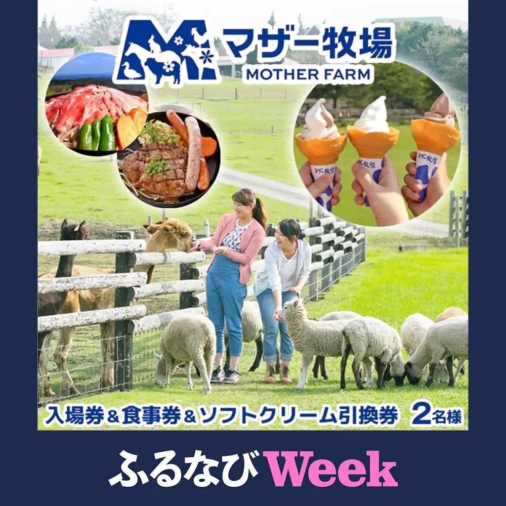 マザー牧場　入場券＆食事券＆ソフトクリーム引換券（ペア）