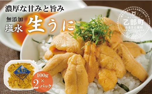 ＜小川の塩水ウニ　100g×2パック＞北海道 北海道産 道産 雲丹 ウニ うに 塩水うに 工場発送