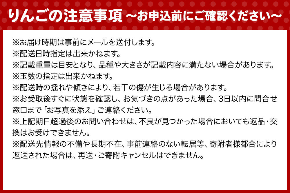 【26年12月発送】りんご 葉とらずサンふじ 【訳あり】 約10kg 蜜入り 平均糖度13度以上 青森県産 [りんご 林檎 アップル 産地直送 葉とらず サンふじ 訳あり 自宅用 家庭用 果物 フルー