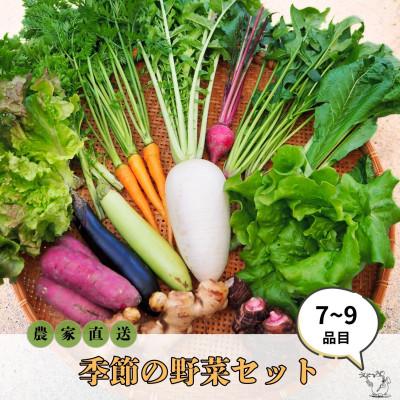 ふるさと納税 板野町 【農家直送】なるべく自然に近い環境で栽培した「季節のおまかせ野菜セット』(7〜9品)