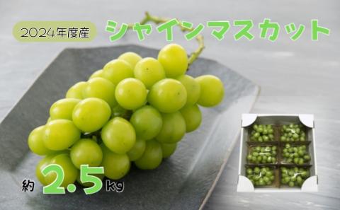 【先行予約】2025年産 訳あり シャインマスカット バラ房・バラ粒パック約2.5kg
