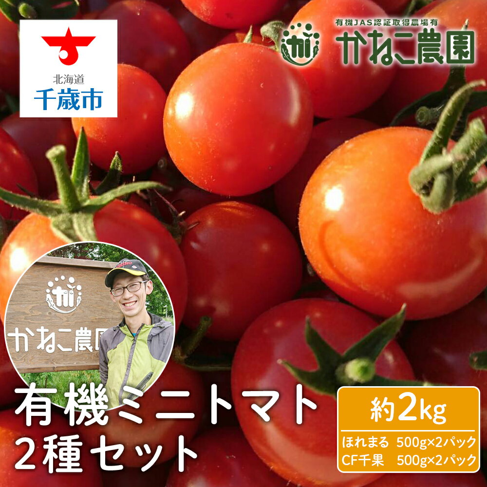 【ふるさと納税】【2025年7月下旬より発送】有機ミニトマト2種セット(2kg)【かねこ農園】北海道ふるさと納税 野菜 ミニトマト 有機栽培 有機ミニトマト ほれまる CF千果 JAS認定圃場 北海道 【北海道千歳市】