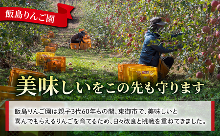 【飯島りんご園】旬の色々りんごの詰め合わせセット　3kg（2～3種）※10月中旬～順次発送