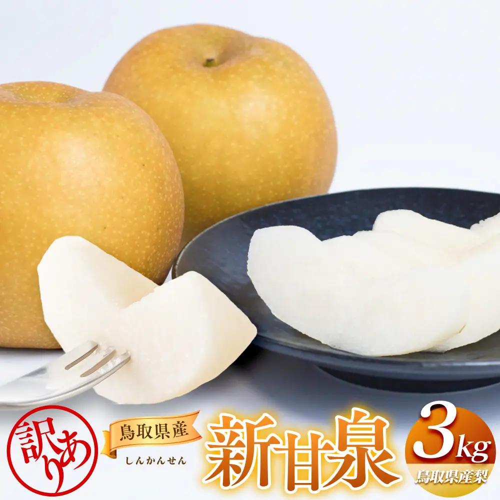 【先行予約】【訳あり】新甘泉 3kg ※8月下旬頃～9月中旬頃に順次発送  梨