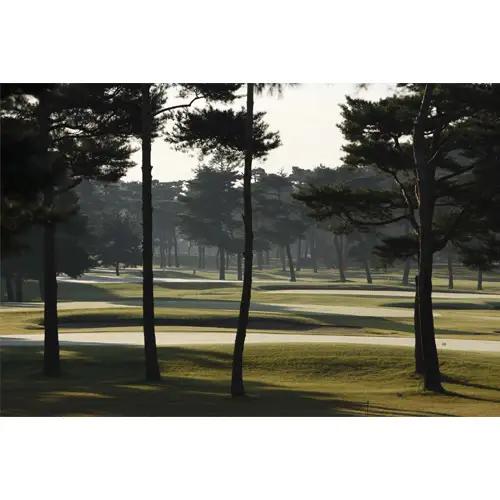 【会員限定】大利根カントリークラブ利用券＊9000円（利用券3000円×3枚） ／ ゴルフ golf GOLF ごるふ ゴルフ場 チケット ちけっと 体験 プレー券 利用券 ゴルフ場利用券 記憶に残る
