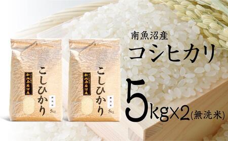 【令和7年産 新米予約】南魚沼産コシヒカリ（無洗米）【5kg×2】【令和7年10月中旬以降発送】【米 お米 こしひかり 南魚沼 米 無洗米 こめ 新潟 米】