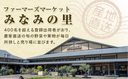  【産地直送】筑前町の豊かな自然の中で育まれた梨　約3kg(5玉～9玉)