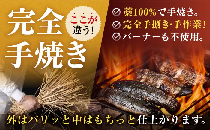 冷凍していない生鰹 高知県産 土佐久礼 藁焼き生鰹たたき 約350g 魚介類 魚 お魚 刺身 初鰹 戻り鰹 [ATBE027]