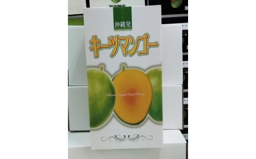 【先行受付】【2025年発送】キーツマンゴー 南城市 約2kg (2～3玉)