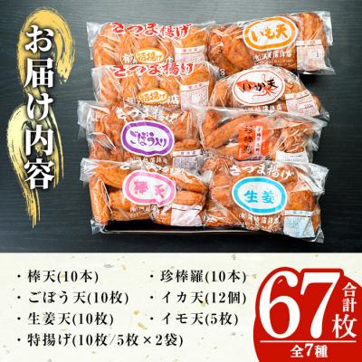 ふるさと納税 いちき串木野市 王道 さつま揚げ 7種 計67枚 定番からオリジナルまで幅広く詰合せ |  | 01