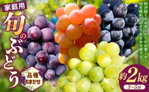 【先行予約】ご自宅用船坂ぶどう 約2kg（3～5房）| 船坂ぶどう ぶどう フルーツ 果物 ご自宅用 盆地気候 寒暖差 自然豊か 甘み 濃厚 糖度 高糖度 果汁たっぷり 宝石 完熟ぶどう 詰め合わせ 旬のぶどう 食べ比べ 藤稔 ゴルビー 紅瑞宝 ピオーネ 伊豆錦 サニードルチェ 翠峰 シャインマスカット 瀬戸ジャイアンツ クインニーナ ご褒美 お取り寄せ 旬 産地直送 フルーツ 兵庫県 上郡町