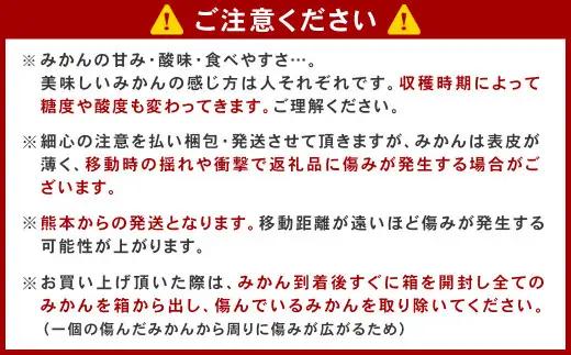 ＜ R8年熊本地震復興支援 ＞＜2027年1月発送予定＞【不揃い】選べる 河内 塩屋みかん 4kg 青島みかん 熊本 国産 みかん 蜜柑 ミカン 果物 くだもの フルーツ