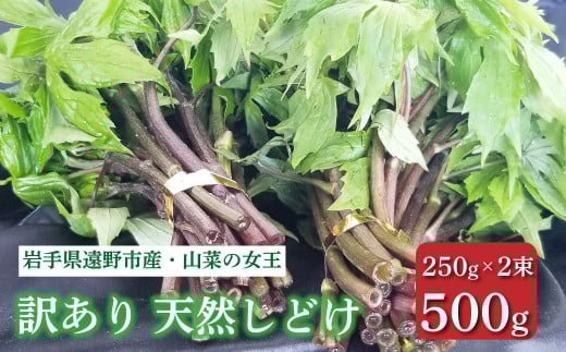 しどけ 天然 訳あり 品 250g×2束 計500g 岩手県 遠野市 産 シドケ 山菜 田村りんご店 期間限定 数量限定 【 受付期間 2025年5月23日まで】