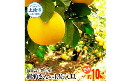 【先行予約】楠瀬さんの土佐文旦 訳あり 約10kg 約10キロ L～4L〈2027年2月15日～2027年4月5日発送〉【まる庄果樹園】[BQAF014]