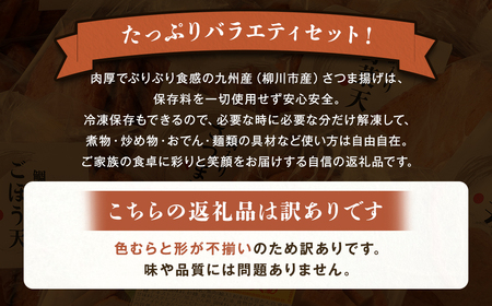 さつま揚げ 8種 計約2kg （各1パック × 8種） ＆ 「チャンポン焼きそばの具 （100g）」 の バラエティセット ／ レシピ付き 蒲鉾 かまぼこ 練り物 具 具材 ちゃんぽん チャンポン 焼