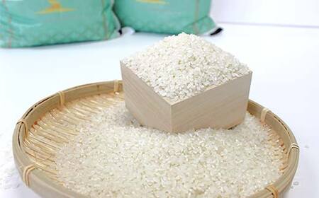 FKP9-678 【令和7年度産】球磨産白米 ひのひかり 5kg 新米 白米 精米 ふっくら 国産米 おすすめ 農家