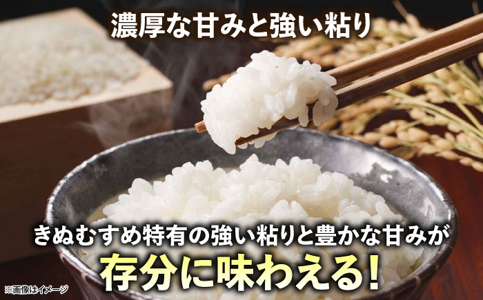 新米 きぬむすめ 令和8年産 2026年産 白米
