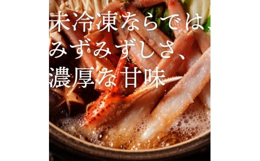 757.【ボイル】≪2025年12月～2026年1月発送≫ 特撰 松葉がに【ブランドタグ付き】（900g超×3杯)【ブランド 蟹 タグ付き 生 ナマ かに 松葉ガニ 松葉蟹 訳あり カニ味噌 みそ 家庭用 鳥取県産 北栄町 おすすめ 人気】