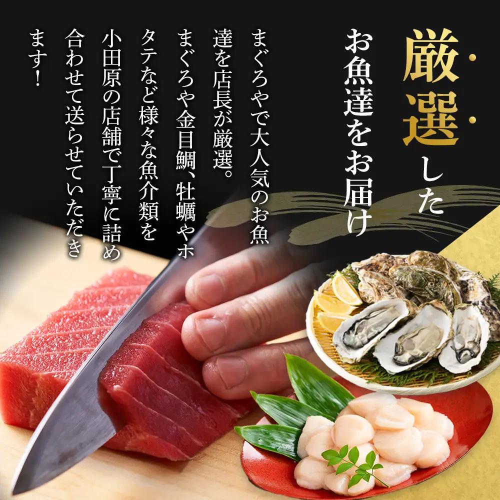 【定期便4ヶ月】まぐろや　特別セット【 惣菜 まぐろ 鮪 本鮪 サーモン 海老 お刺身 海鮮 セット 福袋 キンメ きんめ お取り寄せ 御中元 お中元 お歳暮 父の日 母の日 贈り物 日本酒 焼酎】【