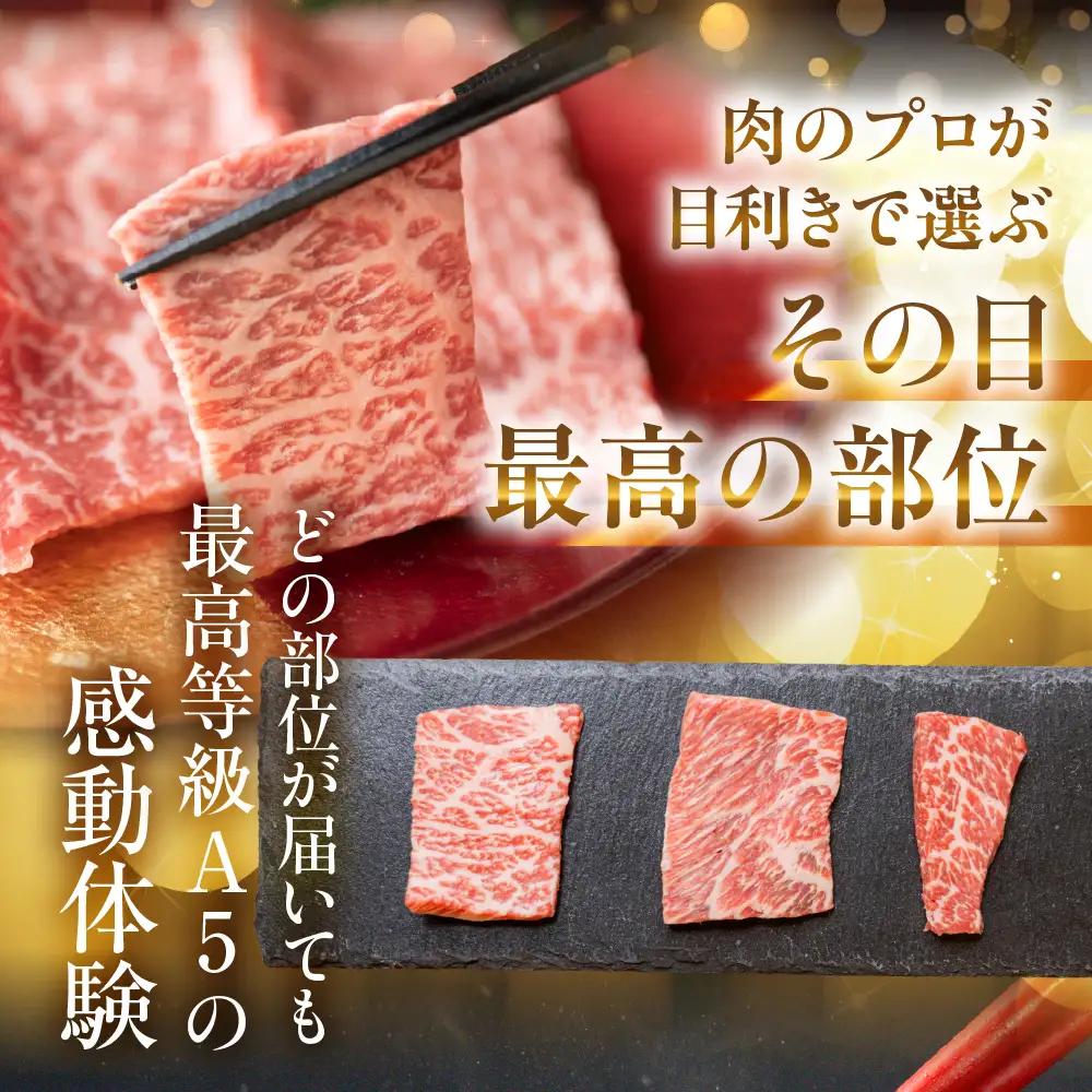 飛騨牛 A5 焼肉用 モモ カタ バラ 1110g｜焼肉用