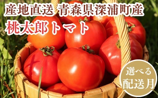 
                  【選べる発送月】青森県産 桃太郎トマト 約4kg 20玉前後 大玉トマト 野菜 旬 産地直送 深浦町
                