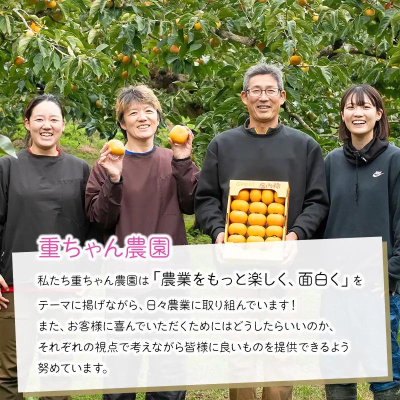【令和8年産先行予約】 ぶどう詰め合わせ 2房 (シャインマスカットと黒系品種 各1房)　山形県鶴岡市 重ちゃん農園