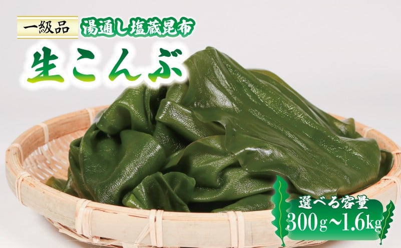 
            〈 内容量が選べる 〉 塩蔵 生こんぶ 300g～1.6kg 昆布 こんぶ コンブ konbu 生こんぶ 塩蔵こんぶ 三陸こんぶ 国産 おでん 煮物 料理 夜ご飯 産地直送 海藻 三陸 本多商店 岩手県 大船渡市 送料無料 5000円 五千円 3000円 三千円 5000円以下 5000円以内
          