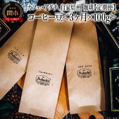 ふるさと納税 関市 【定期便】コーヒー豆 100g×3ヶ月 パナマゲイシャ ブルーマウンテン ハワイコナTB-008