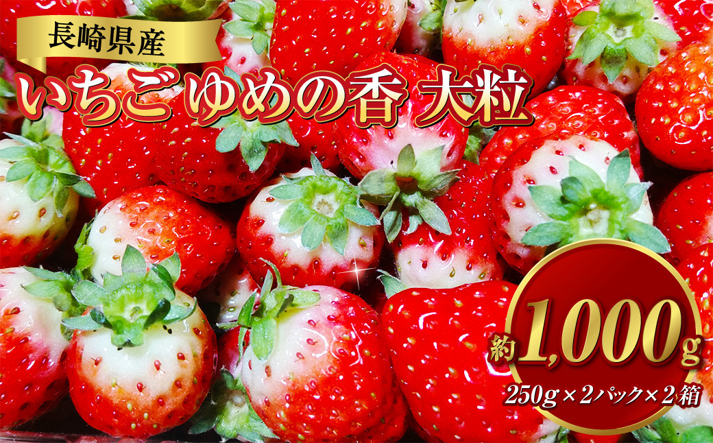 長崎県産いちご ゆめの香 大粒 約1kg（250g×2パック入×2箱）いちご 苺 イチゴ 冷蔵 果物 フルーツ 果実