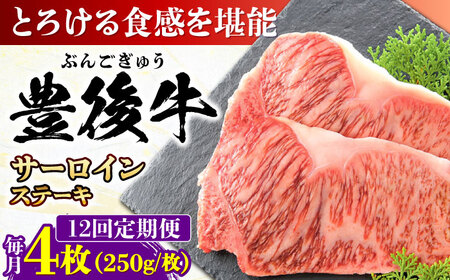【全12回定期便】おおいた豊後牛 サーロインステーキ 1kg (250g×4枚) / ステーキ ステーキ ステーキ ステーキ ステーキ ステーキ / 日田市 / 株式会社MEAT PLUS[AREI061]