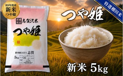 【 令和8年産 】新米 特選棚田米 つや姫 5kg おこめ お米 白米 精米 コメ ライス ごはん ご飯 国産米 棚田米 ブランド米 特A ツヤ もちもち 高級 おべんとう 弁当 おにぎり 甘み コク 食味 毎日の食卓 冷めてもおいしい 志賀沢米 岩沼産米