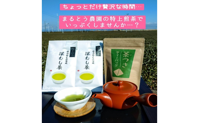 
[№5695-1239]ちょっと贅沢♪ 特上深蒸し煎茶リーフと上煎茶ティーバッグ
