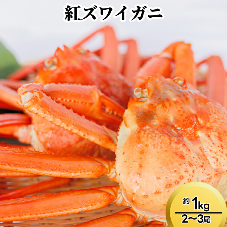 【ふるさと納税】紅ズワイガニ約1kg（2〜3尾）　ずわい蟹 ずわいガニ ズワイガニ 紅ズワイガニ 約1kg ※2025年9月中旬～2026年3月下旬頃に順次発送予定
