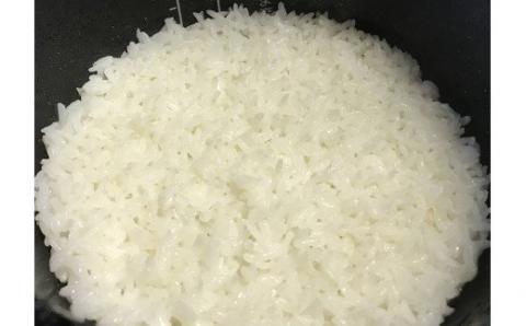 先行予約 【新米】 ハツシモ「ふるさと物語」 10kg 新米