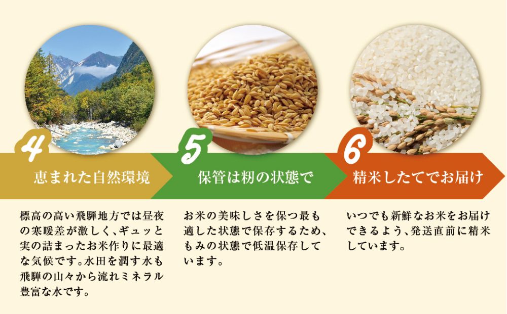 【定期便】こしひかり飛騨っ晴れ 玄米 10kg 12回 お届け 生産者直送 お米 コシヒカリ 飛騨産 飛騨高山 アグリランド JF107