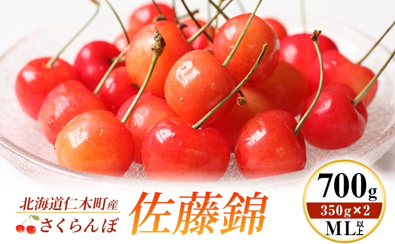 
                  2026年発送 北海道 仁木町産 さくらんぼ 佐藤錦 700g (350g×2) ML以上  旬の果物 サクランボ チェリー フルーツ 果物 果物類 仁木町 仁木 [伊賀農園]
                