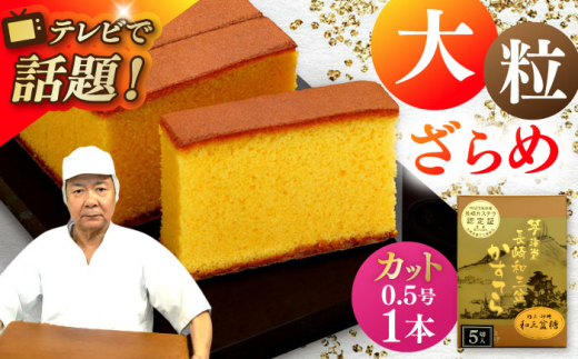 【カットあり】長崎和三盆かすてら0.5号 長崎県/琴海堂 [42AACD008] かすてら 和三盆 ざらめ おやつ 菓子 贈答 ギフト プレゼント 贈り物 常温 琴海堂 長崎 スピード 発送 配送 最速 最短 すぐ届く すぐ発送