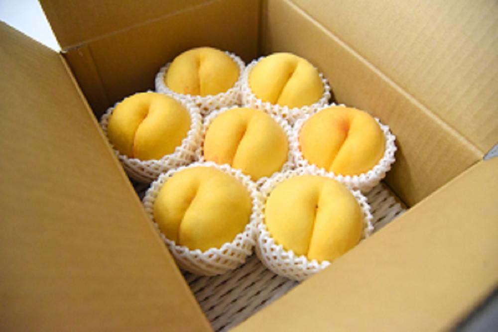
            07-10-006　もも(黄金桃)2kg　　
          