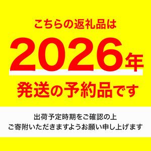 ＜先行予約！2024年6月上旬以降順次発送予定＞バイカラコーン (約4kg) トウモロコシ とうもろこし とうきび コーン 夏 夏野菜 野菜 産地直送 新鮮 ベジタブル 旬 人気 お取り寄せ 【man