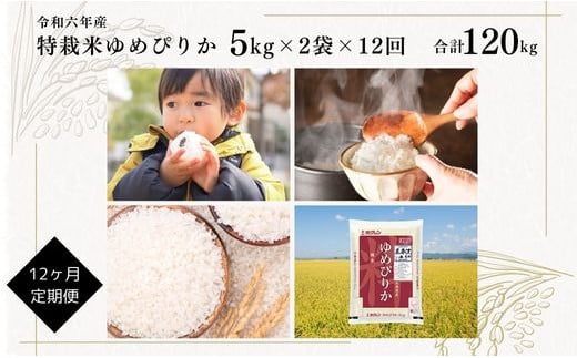 【定期便】【令和6年産】北海道産『特別栽培米 ゆめぴりか 10kg×12ヶ月』日経トレンディ米のヒット甲子園 大賞受賞 5kg×2袋 毎月1回・計12回お届け 計120kg 定期便 単一原料米 特栽米 米 お米 白米 精米 こめ おこめ ごはん ご飯 送料無料 北海道 奈井江町