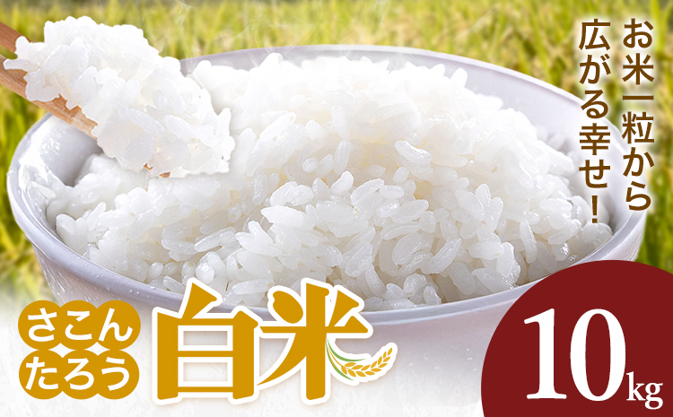 白米 10kg さこんたろう《90日以内に発送予定(土日祝除く)》熊本県 御船町 コメ おこめ 白米 ごはん 熊本県産---mifune_skt_3_10kg---