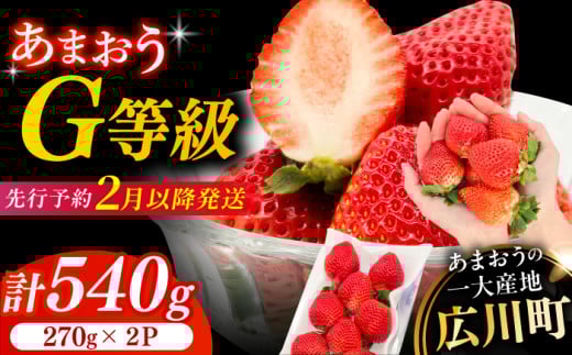 【★先行予約★　2026年2月より発送】あまおうG等級 1ケース（270g×2パック）いちご イチゴ 苺 フルーツ 果物 旬 福岡県産 小分け あまおう 博多 大きい 甘い 広川町 / JAふくおか八女農産物直売所どろや [AFAB069]