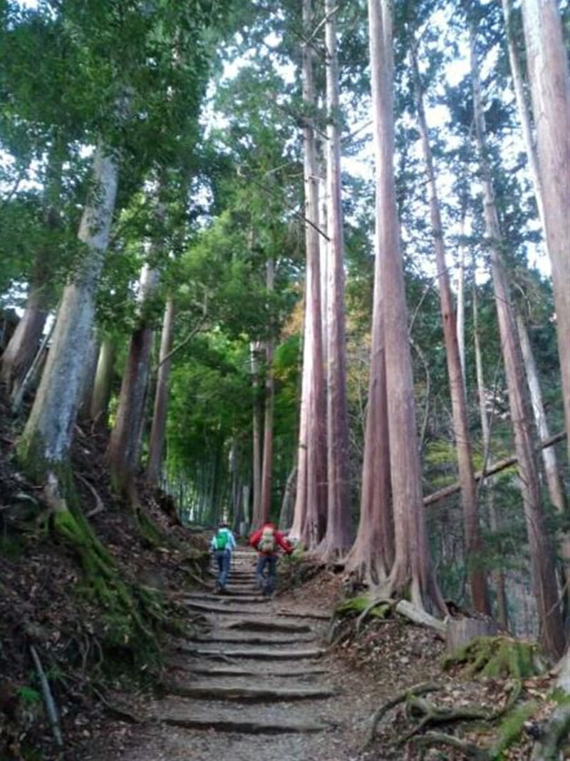 【ふるさと納税】囲炉裏付き古民家に泊まり、登山ガイドと霊峰・七面山に登ろう！（宿泊体験チケット2名様分）【 旅行 体験・チケット 山梨県 早川町 】