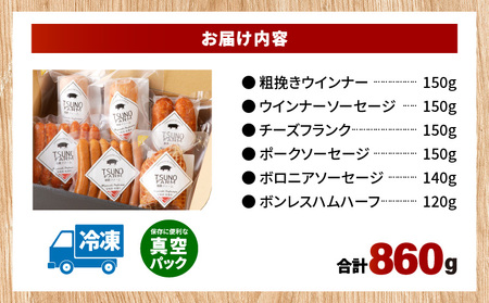 都農ファーム厳選「ウインナー・ハム6点セット」合計860g 肉 豚 豚肉 おかず 国産_T020-001【人気 ハム ソーセージ おすすめ ハム ソーセージ 国産豚 ハム ソーセージ 加工食品 ハム 